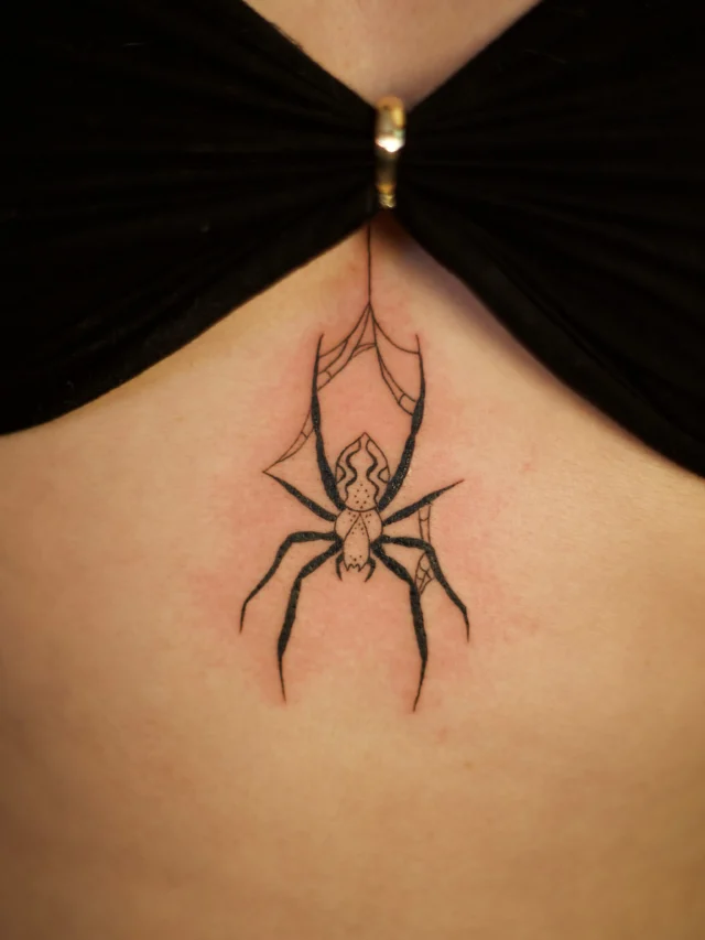 🕷️🕸️